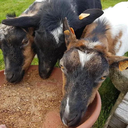 Penzion La Source D'arimont 3*