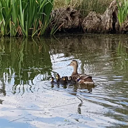 Penzion La Source D'arimont Malmedy
